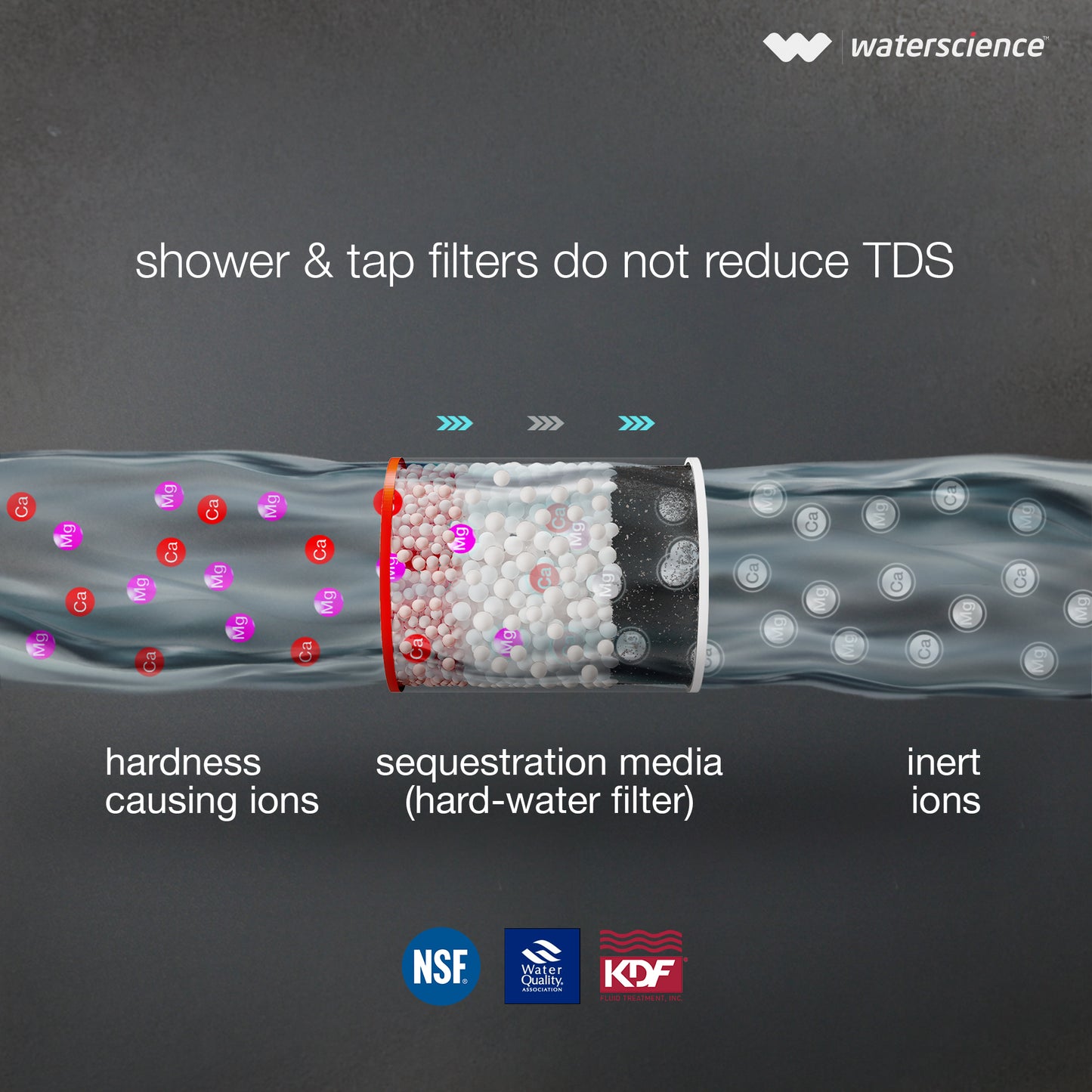 Tap & Shower Filter
